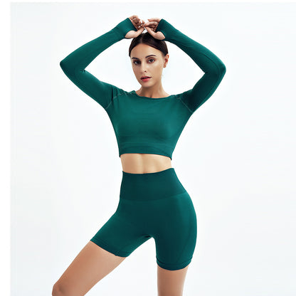 WAREBALL Damen Seamless Yoga-Set (2/3/4-teilig) – Fitness Tracksuit mit Sport-BH & Gym Leggings, Sportbekleidung für Workout